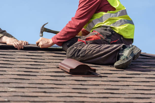 Best Roof Gutter Cleaning  in Warsaw, IN